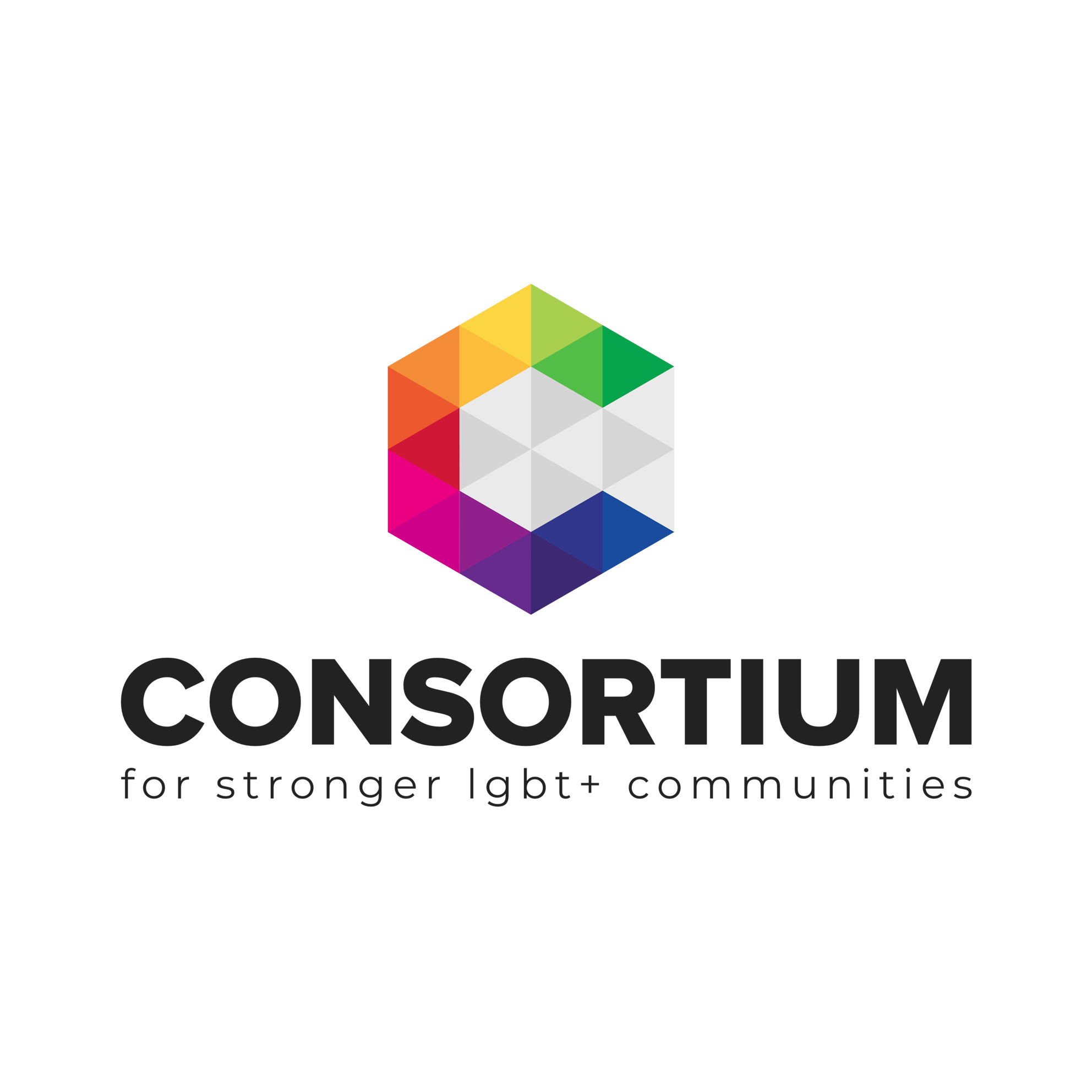 Safe Space Alliance Partner Logo Consortium Safe Space Alliance