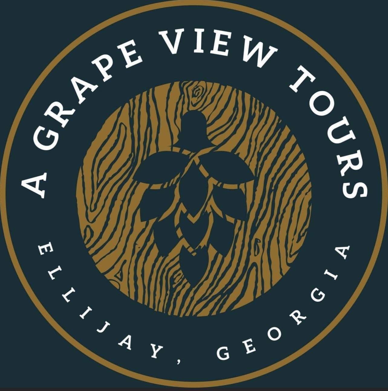 Grapevine. View A Grape View Tours – Safe Space Alliance